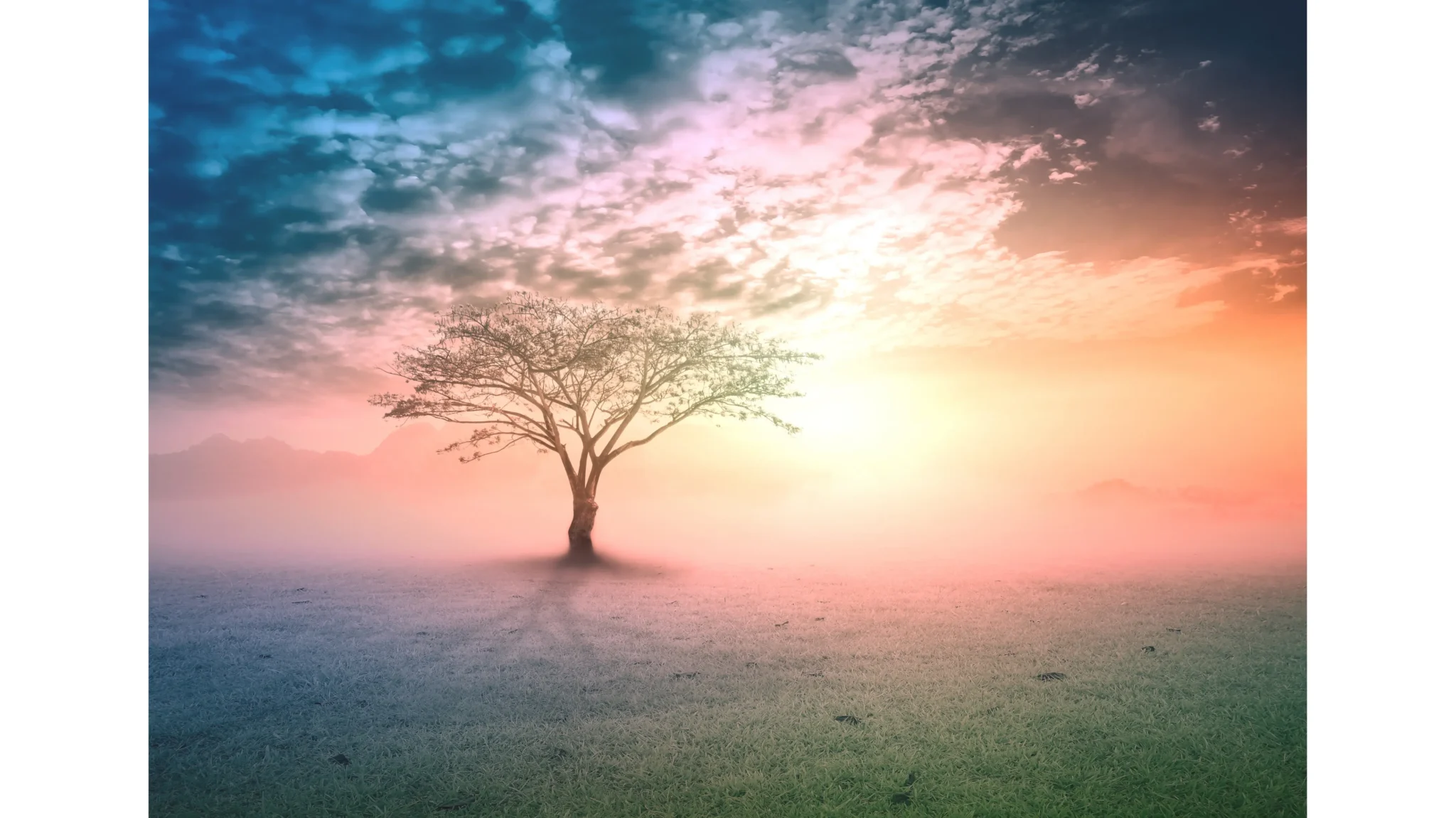 Workshops, Retreats & Education