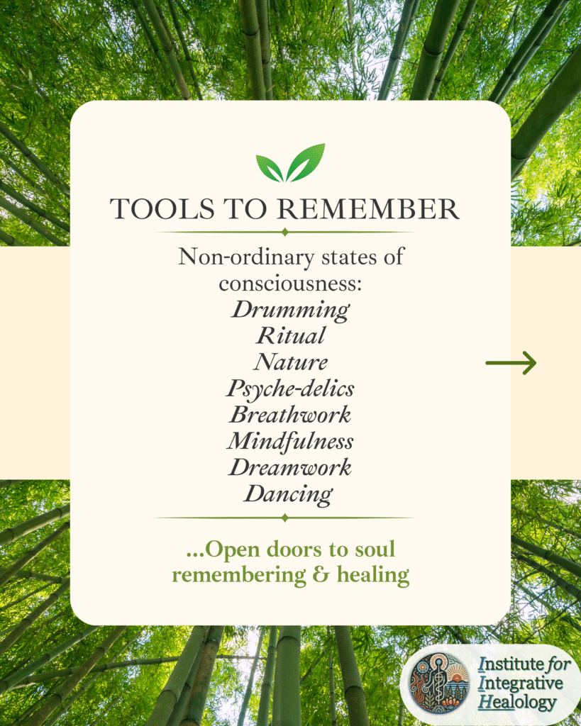 Shamanic tools to remenber our wholeness - expanded states of consciousness